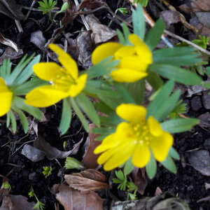 20170224_161247