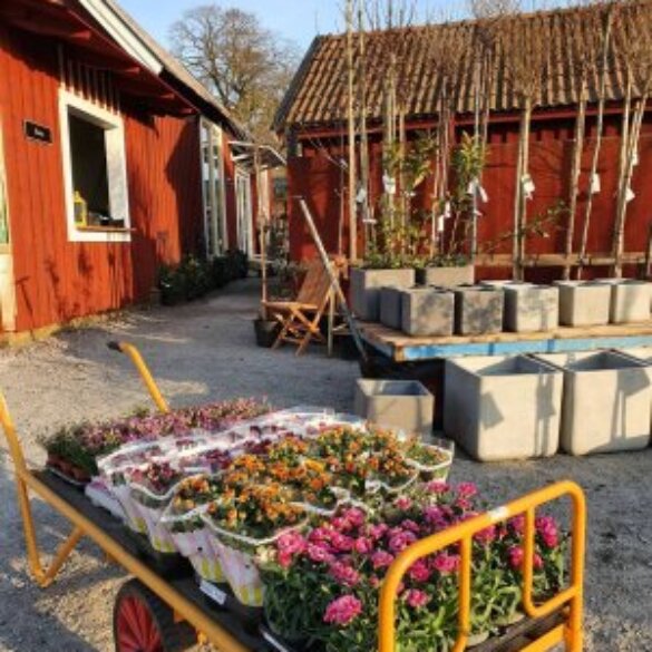 Söndag kväll….